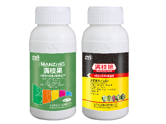 滿枝果 / 滿枝艷